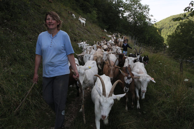 La ferme les Chèvres de Luisandres